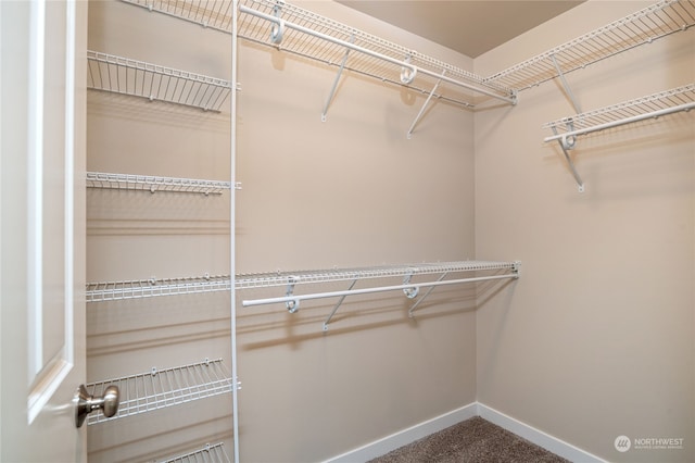 walk in closet with carpet