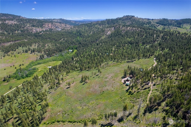 bird's eye view with a mountain view