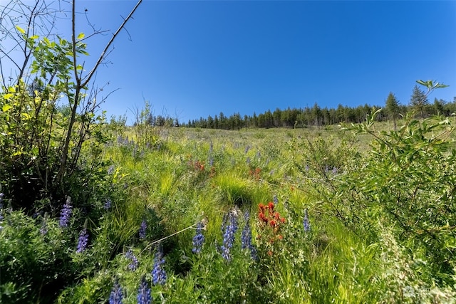 view of mother earth's splendor