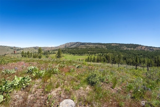 property view of mountains with a rural view