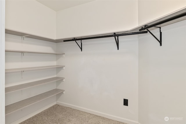 walk in closet with light carpet