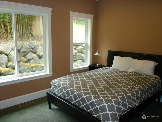 bedroom with dark carpet and multiple windows