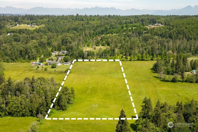 Listing photo 3 for 0 Pipeline Rd, Blaine WA 98230