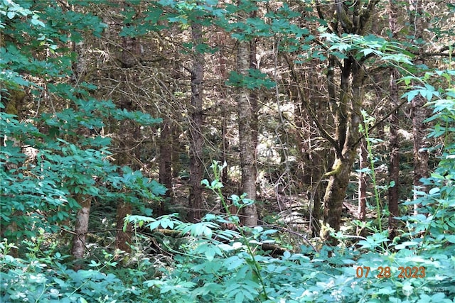 51957 114th Ave E, Eatonville, WA 98328 - photo 2