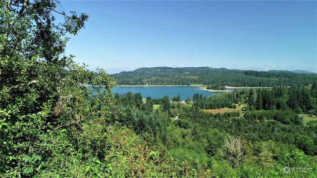 51957 114th Ave E, Eatonville, WA 98328 - photo 5