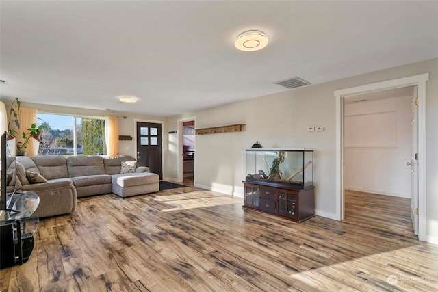 living room featuring wood-type flooring