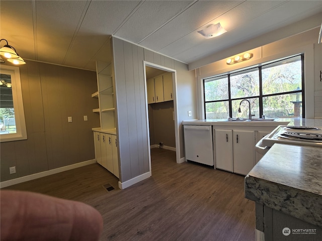 kitchen featuring dishwasher, dark hardwood / wood-style flooring, and a wealth of natural light