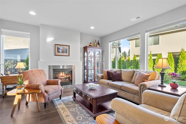 living room with dark hardwood / wood-style flooring