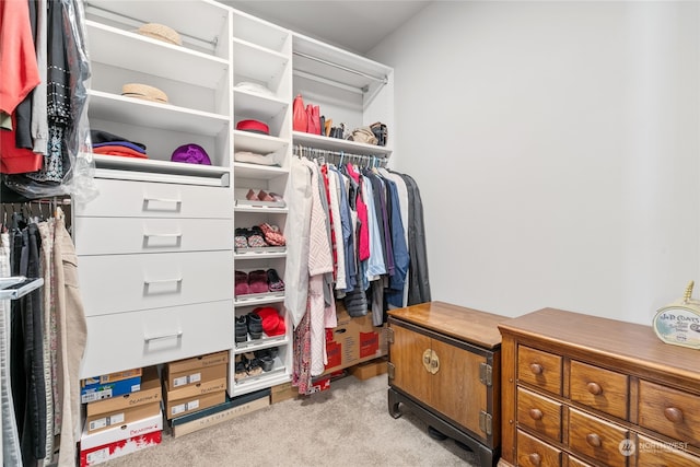 spacious closet with light carpet