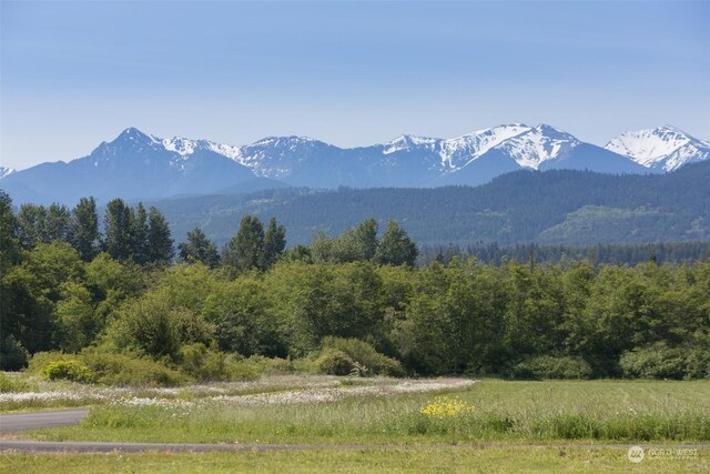 241 Trailside Dr, Sequim, WA 98382
