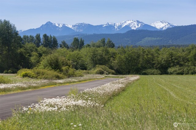 241 Trailside Dr, Sequim, WA 98382