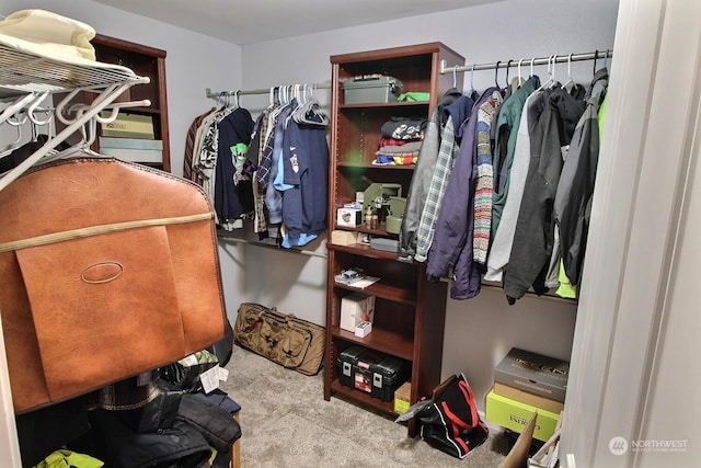 spacious closet with light carpet