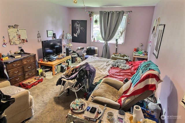 bedroom featuring carpet flooring