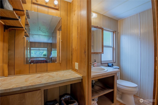 bathroom with wood walls, vanity, and toilet