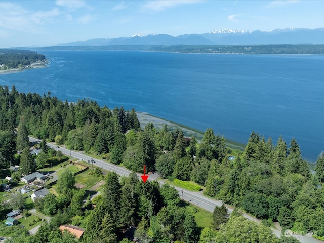 drone / aerial view featuring a water and mountain view