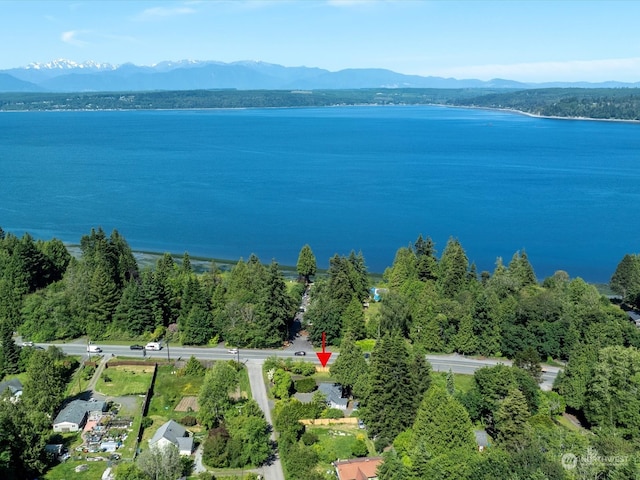 bird's eye view with a water and mountain view