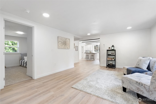 living room featuring light hardwood / wood-style flooring