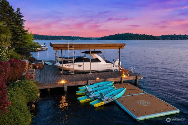 dock area with a water view