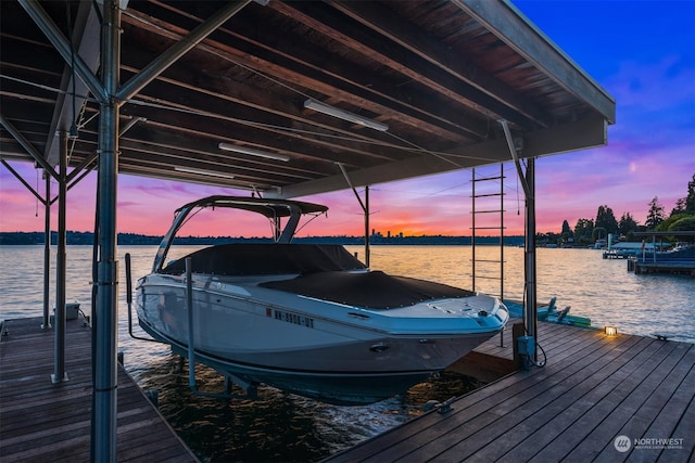 dock area with a water view