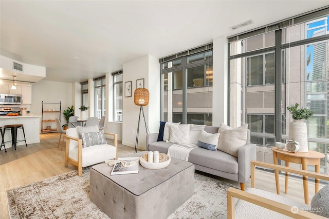 living room with light hardwood / wood-style floors and a wealth of natural light