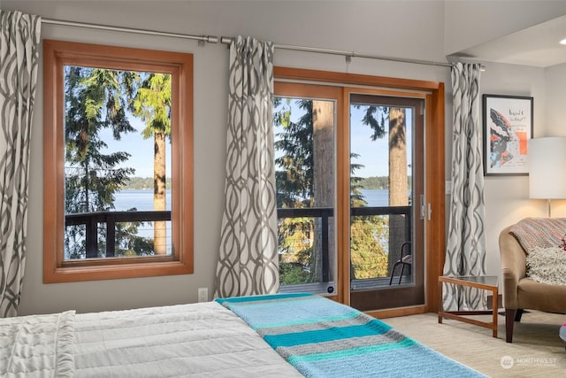 bedroom featuring a water view