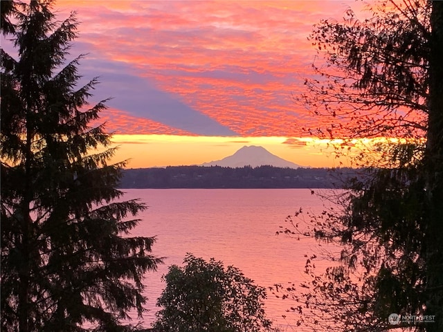 property view of water featuring a mountain view