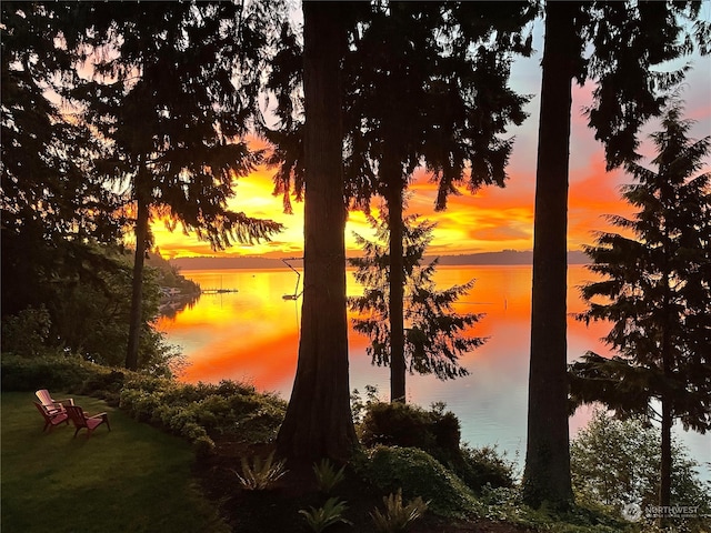 nature at dusk with a water view