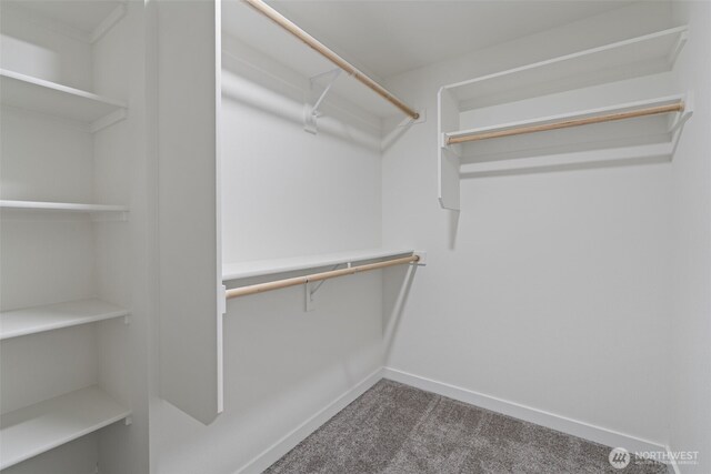 11118 NE 91st Ave, Vancouver, WA 98662 - spacious closet featuring carpet floors