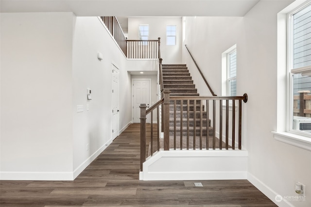 stairway with wood-type flooring