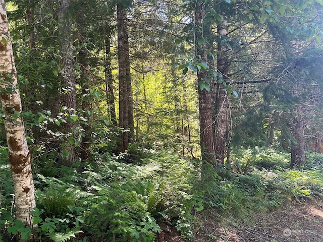 103 Ridge Ln, Packwood, WA 98361