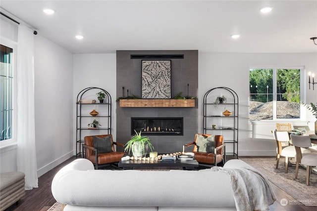 living room with a fireplace and wood-type flooring