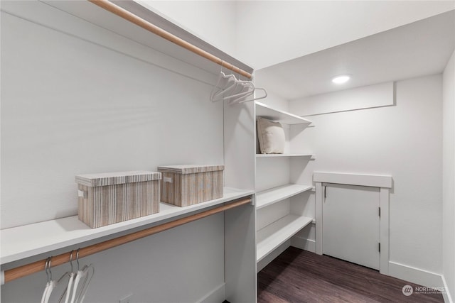 spacious closet featuring dark hardwood / wood-style flooring