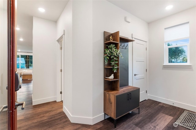 interior space with dark wood-type flooring