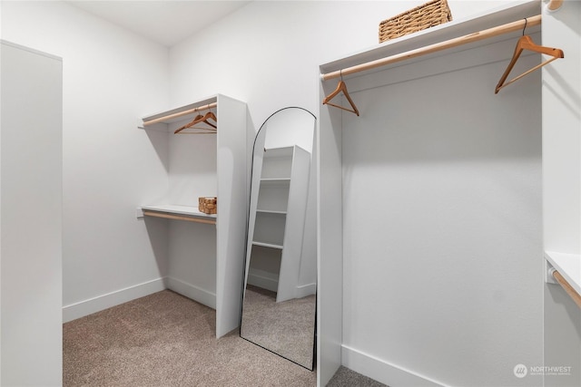 spacious closet with light colored carpet