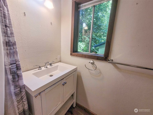 bathroom featuring plenty of natural light and vanity