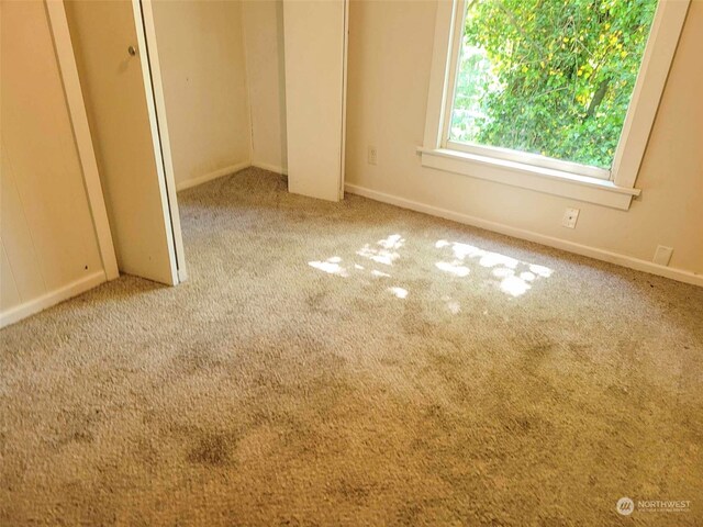 unfurnished bedroom with light carpet