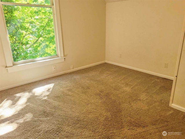 view of carpeted empty room