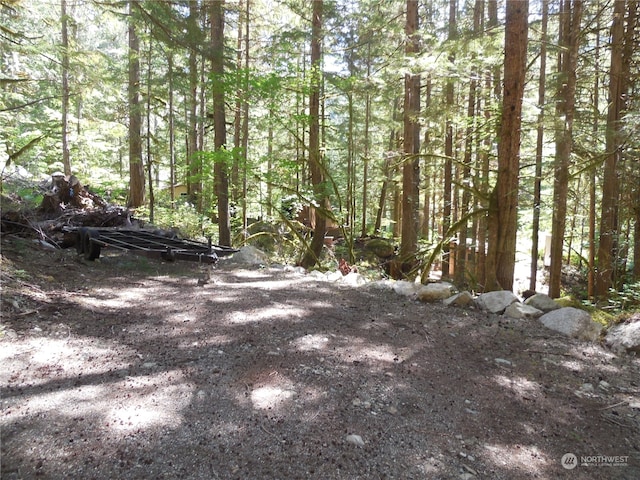 0 Cascade River Rd, Marblemount WA, 98267 land for sale