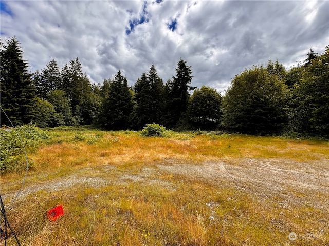 23100 NE State Route 3, Belfair WA, 98528 land for sale