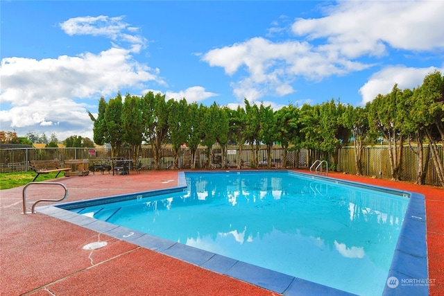 view of pool featuring a patio area