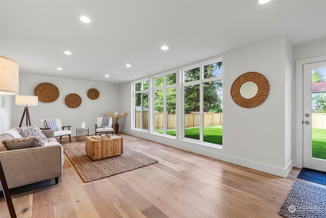 living room with light hardwood / wood-style flooring and a healthy amount of sunlight