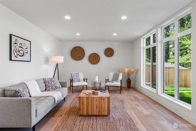 living room featuring wood-type flooring