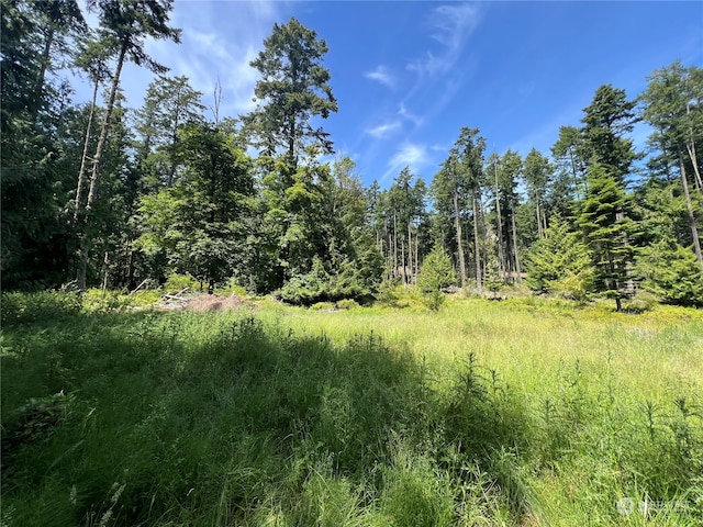 0 Neck Point Rd, Shaw Island, WA 98286