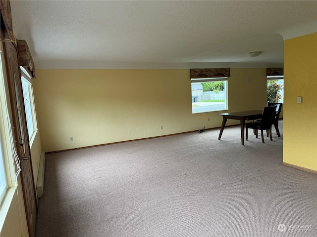 carpeted empty room featuring a textured ceiling and baseboard heating