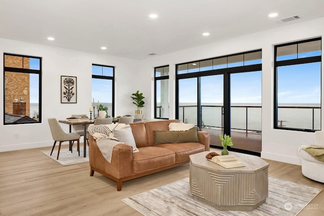 living room with a water view, a healthy amount of sunlight, and light wood-type flooring