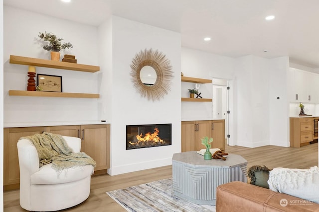 living room featuring light hardwood / wood-style floors