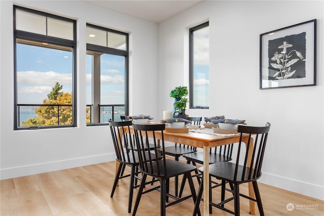 dining room featuring light hardwood / wood-style floors