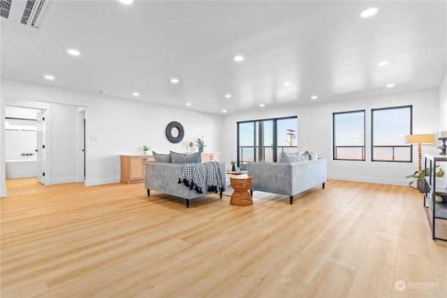 living room featuring light hardwood / wood-style floors