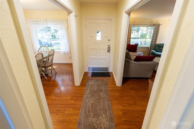 foyer entrance with wood-type flooring