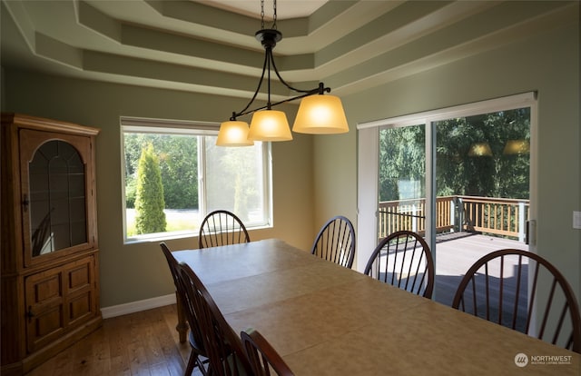 dining area featuring hardwood / wood-style flooring and a tray ceiling